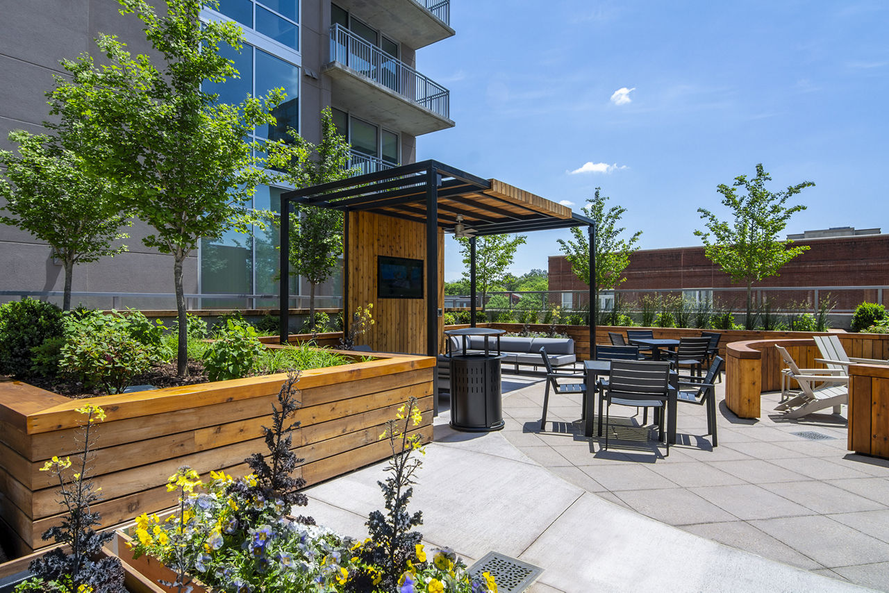 Roof deck at Piedmont House (2 of 7)