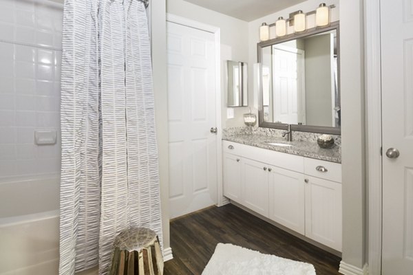 bathroom at Grapevine TwentyFour 99 Apartments