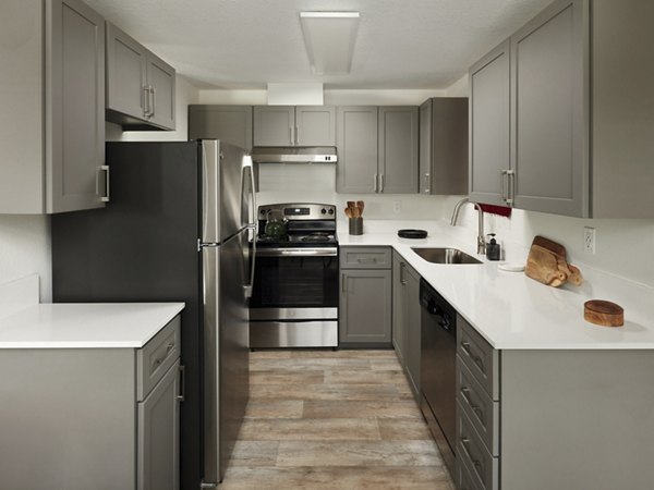 Modern kitchen featuring sleek countertops and stainless steel appliances in Cedar House Apartments