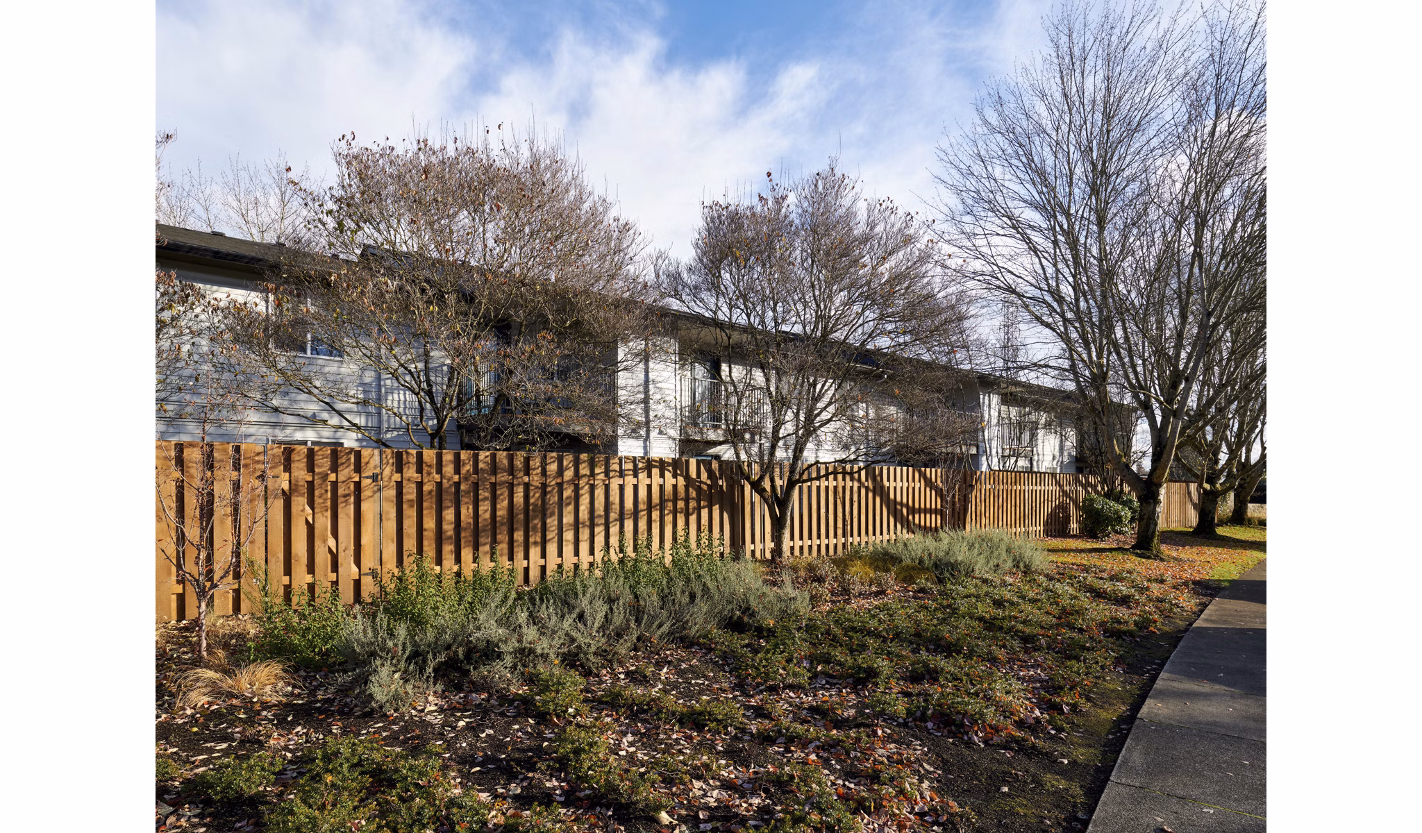 Cedar House Apartments: Serene courtyard with landscaped garden and seating area in a luxury apartment community