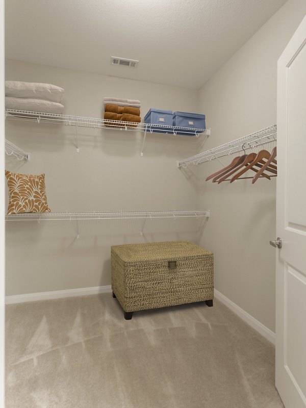 Walk-in closet with built-in shelves at Arlo Buffalo Heights Apartments, offering ample storage space in modern luxury apartments