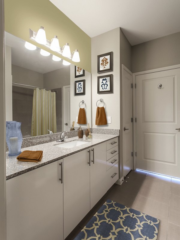 bathroom at Arlo Buffalo Heights Apartments