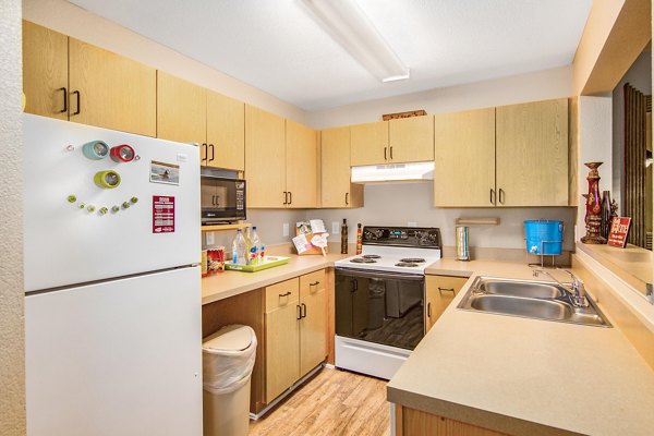 Modern kitchen featuring stainless steel appliances and granite countertops at Reveille Ranch Apartments, a Greystar luxury community