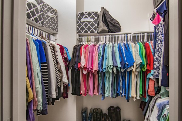 Walk-in closet with custom shelving in a bedroom at The Ridge Apartments