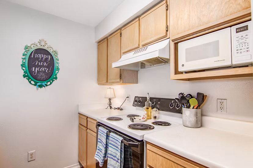 Modern kitchen with stainless steel appliances at The Ridge Apartments, luxury living in a Greystar community