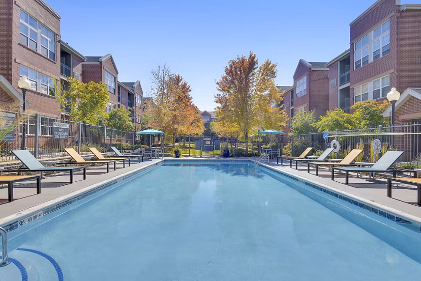 pool at Avia Lowry Apartments
