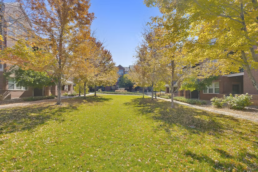 dog park at Avia Lowry Apartments