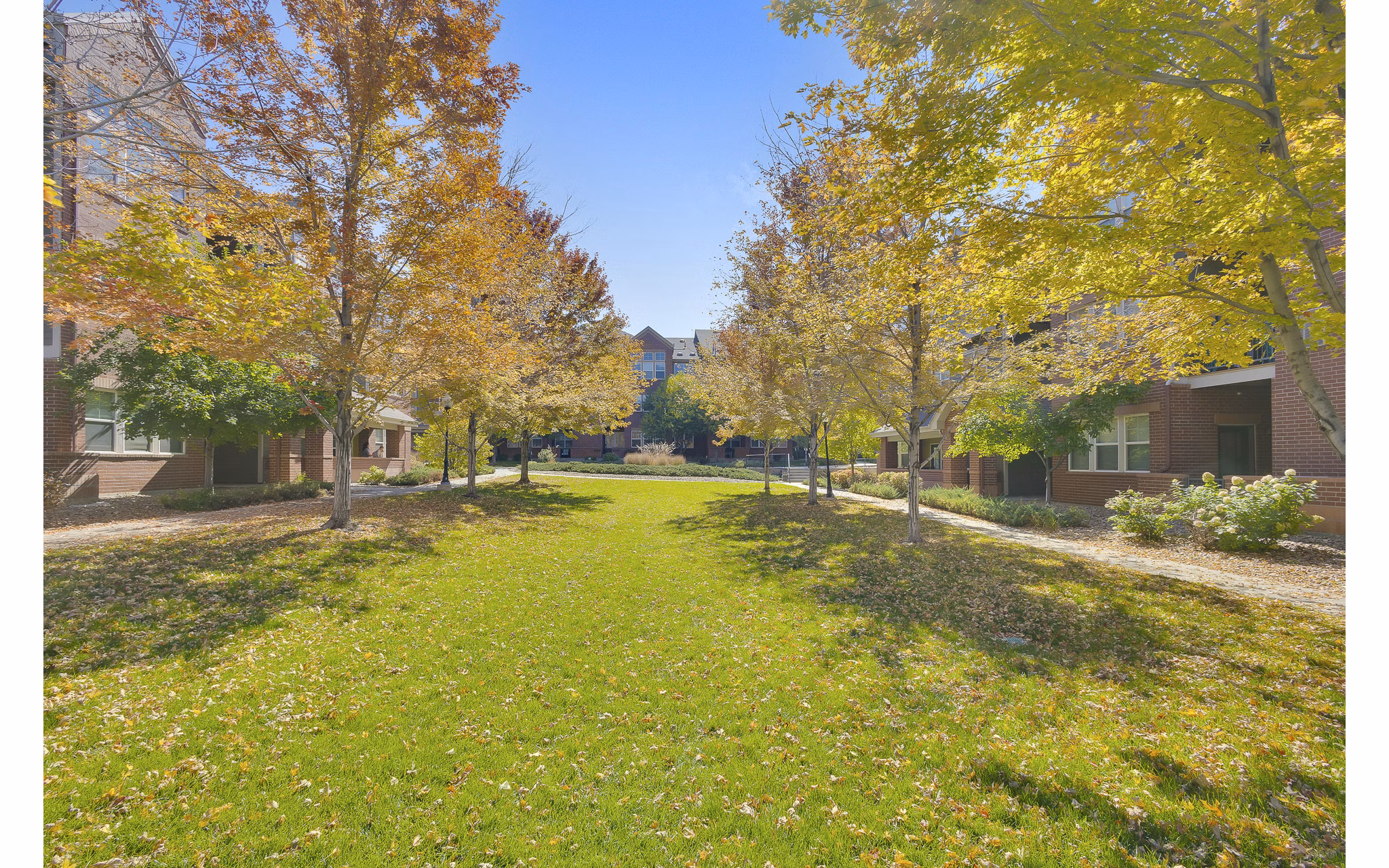 dog park at Avia Lowry Apartments