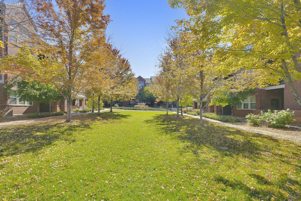 dog park at Avia Lowry Apartments