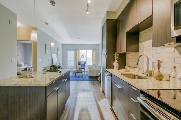 Modern kitchen with dark cabinets and stainless steel appliances, open to a cozy living area in luxury apartments