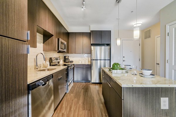 Modern kitchen with dark wood cabinets and stainless steel appliances in luxury apartments