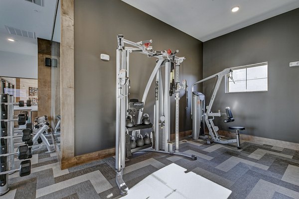 State-of-the-art fitness center with modern equipment at The Preserve luxury apartments