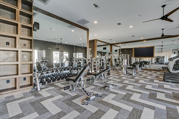 State-of-the-art fitness center with modern equipment at The Preserve luxury apartments