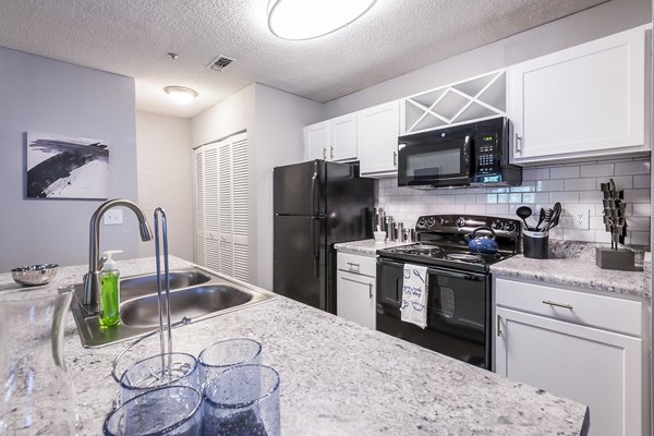 Modern kitchen with stainless steel appliances at Bridgeport Apartments luxury community