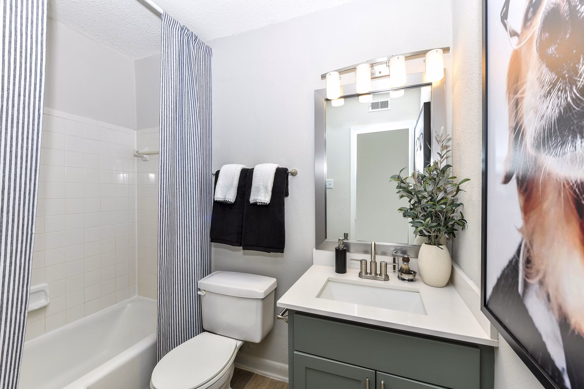 Modern bathroom featuring elegant fixtures at Avana Cumberland Apartments