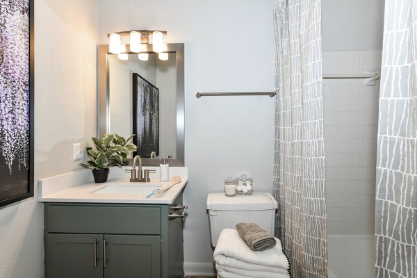 Bathroom featuring modern fixtures and granite countertops at Avana Cumberland Apartments