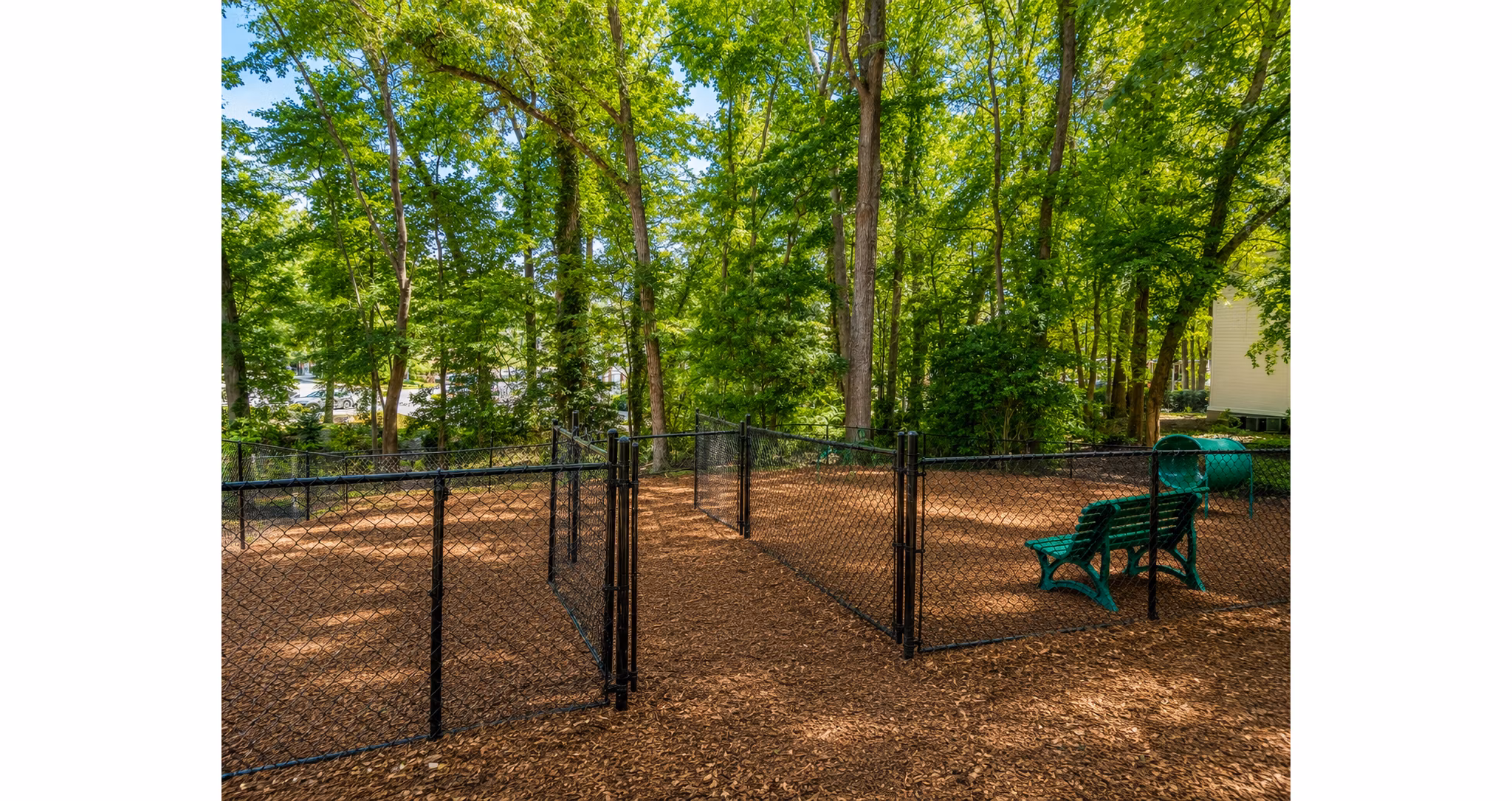 dog park at Avana Cumberland Apartments 