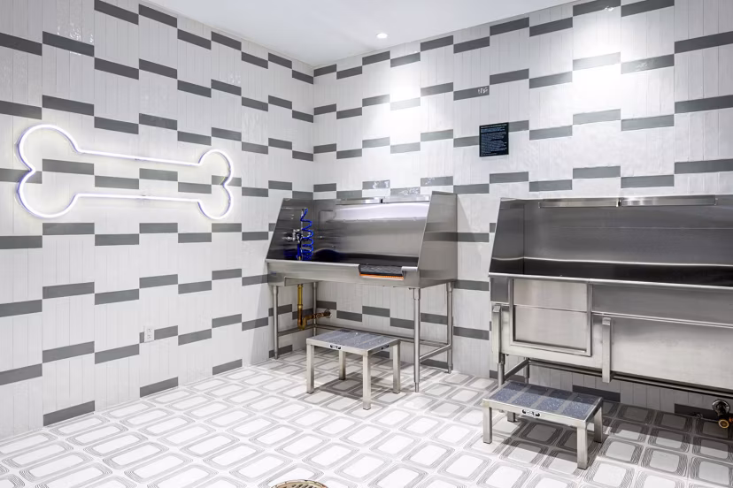 Convenient dog wash station at Bower Apartments with easy-access features for pet owners