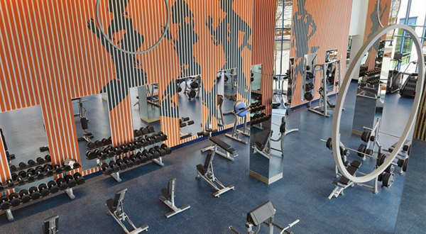 State-of-the-art fitness center with modern equipment at Hamilton Cove Apartments in a luxury setting