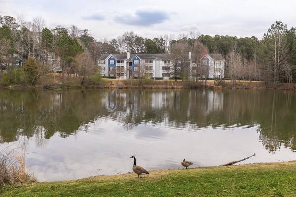 view at Peaks Landing Apartments