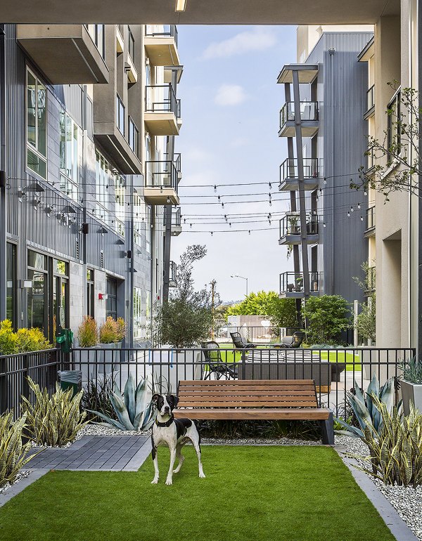 Dog park offering spacious play area and agility equipment at The Griffith Apartments