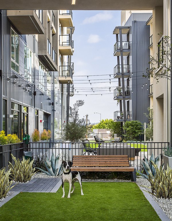 dog park at The Griffith Apartments