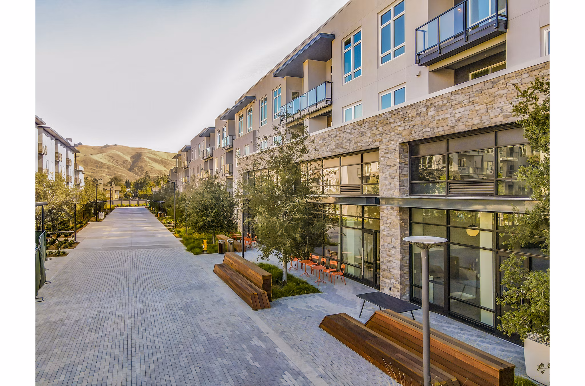 Modern luxury apartment complex with a landscaped courtyard and paved walkway