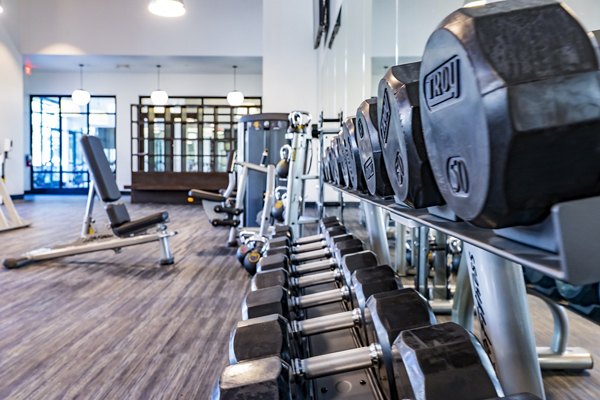 Modern fitness center with state-of-the-art equipment at The Asher Apartments, ideal for active residents seeking luxury living