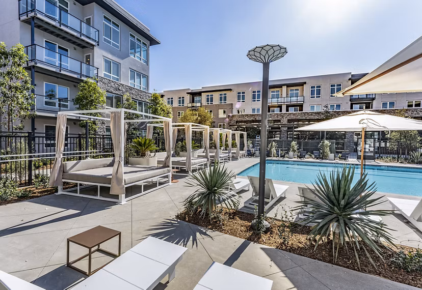 Luxurious rooftop pool at The Asher Apartments offering relaxation and stunning views