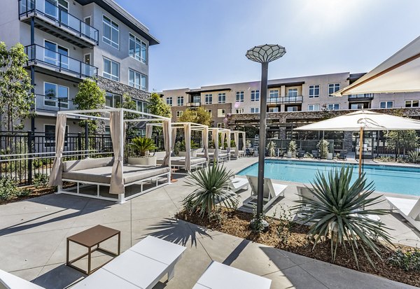 Luxurious rooftop pool at The Asher Apartments offering relaxation and stunning views