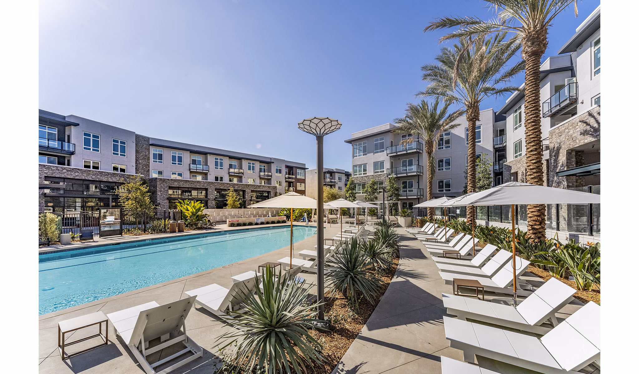The Asher Apartments: Stunning outdoor pool area with landscaped surroundings