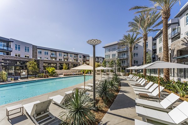 The Asher Apartments: Stunning outdoor pool area with landscaped surroundings