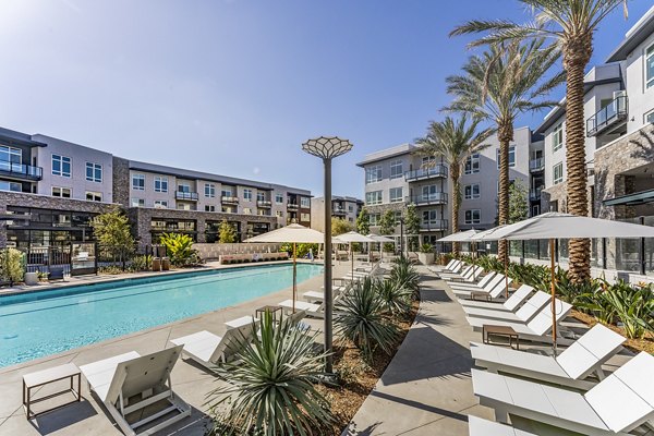  pool at The Asher Apartments