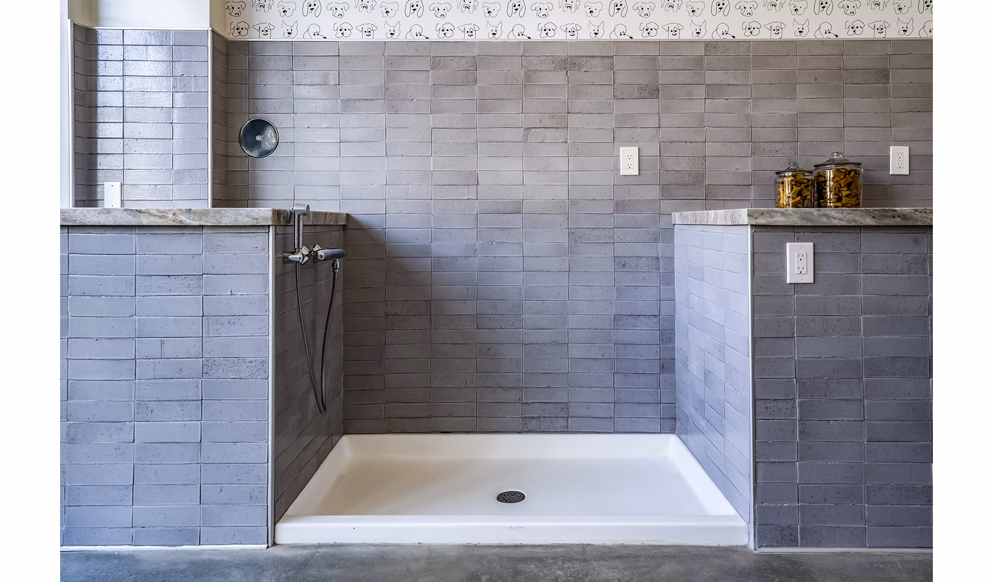 Dog wash station at The Asher Apartments: Convenient pet care amenity in luxury residential community