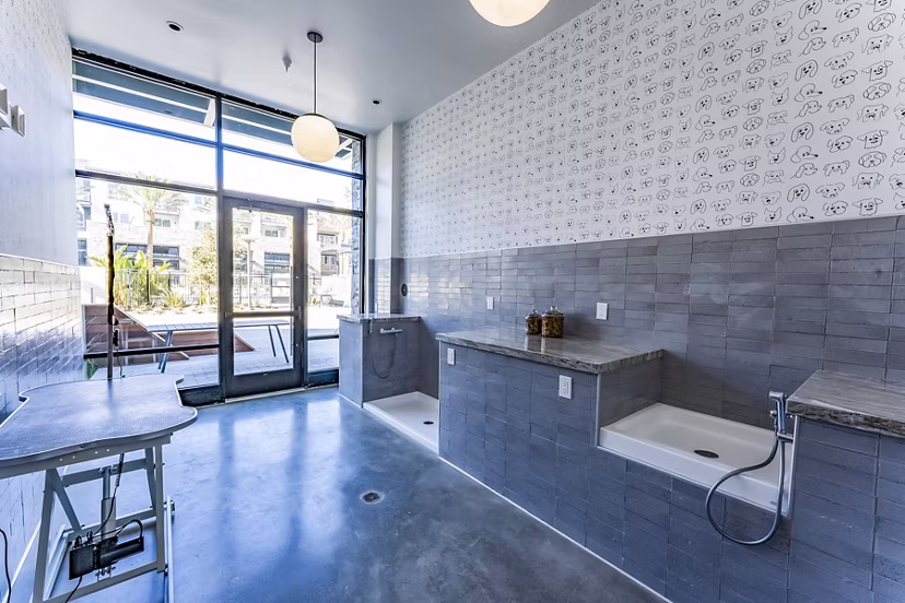 Convenient dog wash station at The Asher Apartments, perfect for pet-friendly living in modern luxury