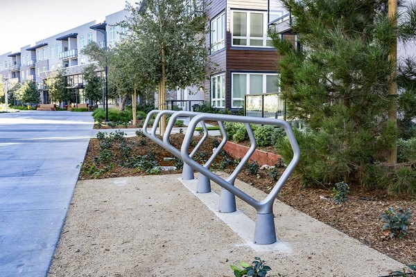 Bike storage area with secure racks at The Asher Apartments: Convenient and safe bicycle parking option for residents