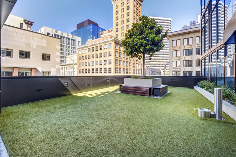 Dog park with agility course at Atlas Apartments, a Greystar luxury property