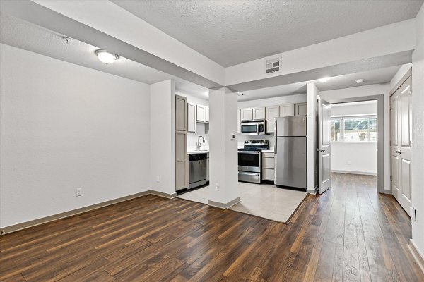 Modern kitchen featuring stainless steel appliances in The Haven Apartments, luxury living by Greystar