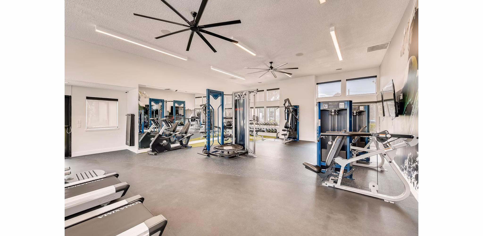 fitness center at Park at Canyon Ridge Apartments 