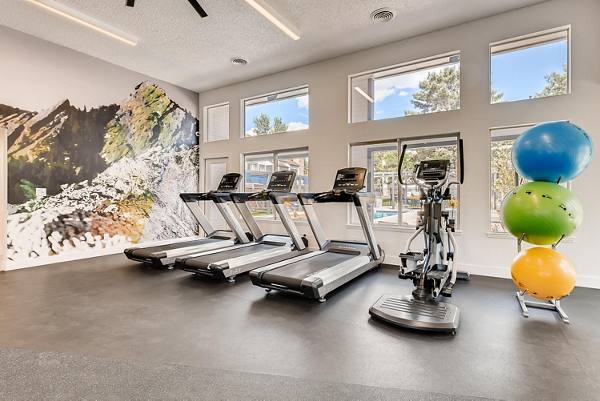 fitness center at Park at Canyon Ridge Apartments