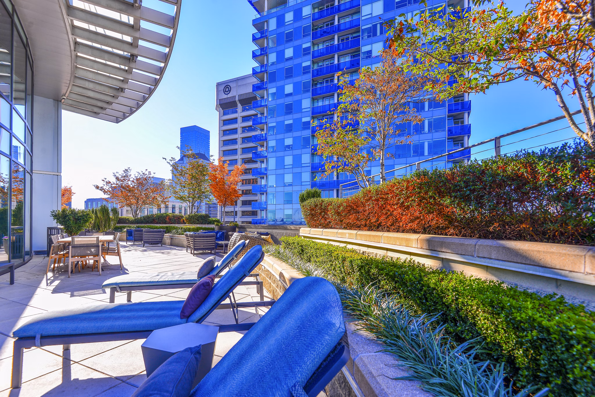 Modern patio area with comfortable seating at The Olivian Apartments, featuring elegant landscaping in a vibrant urban setting