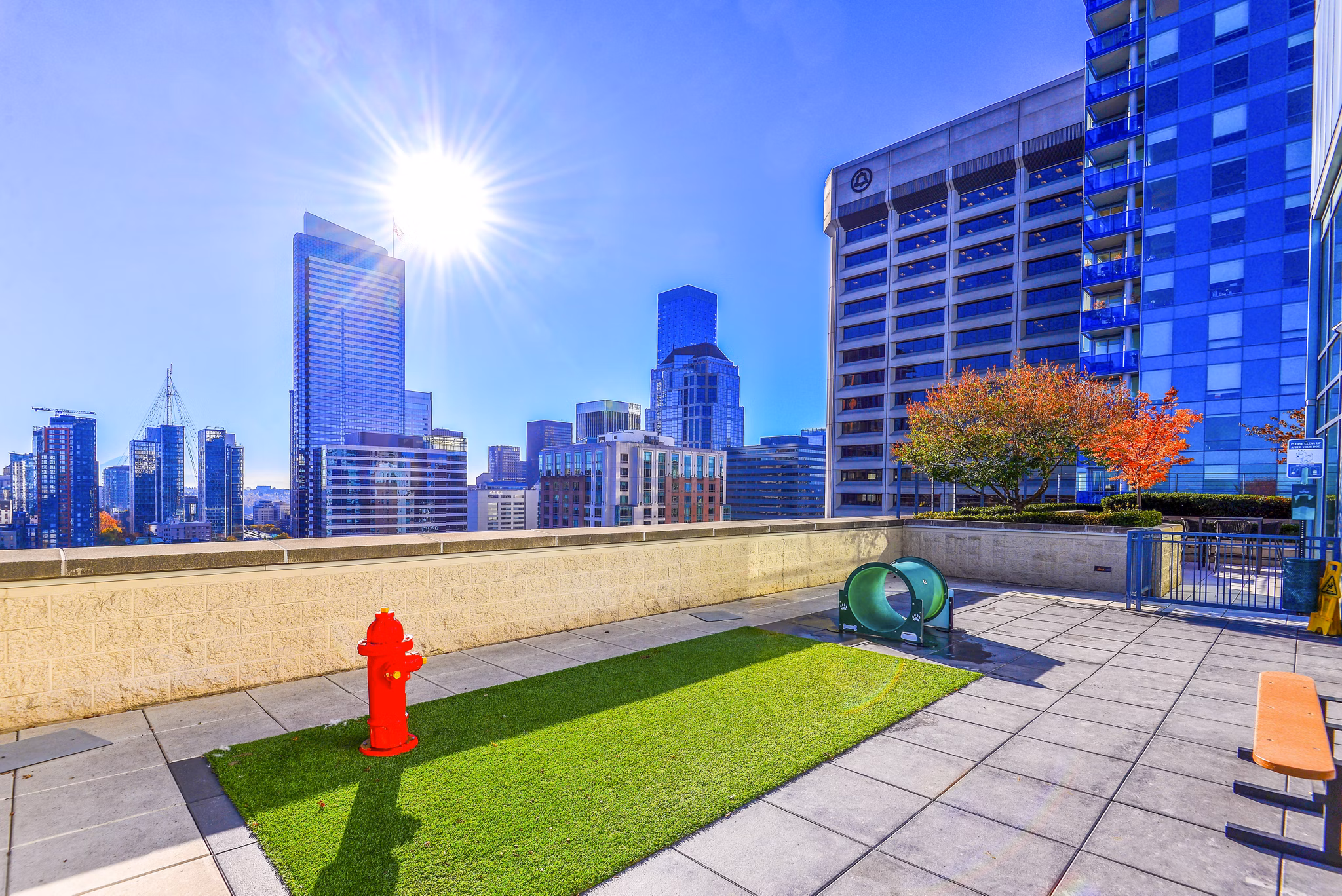 Dog park with agility equipment at The Olivian Apartments