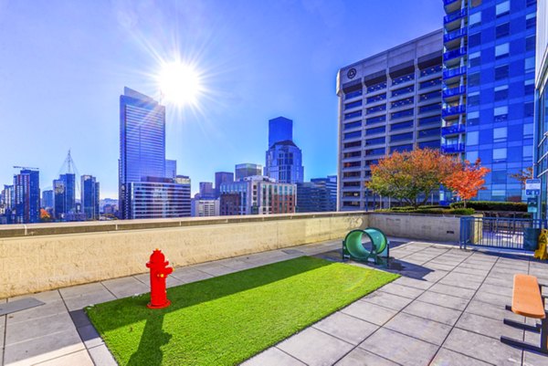 Dog park with agility equipment at The Olivian Apartments