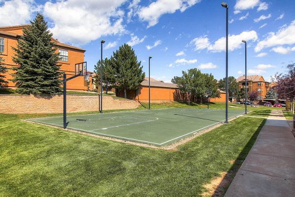 sport court at Artemis at Spring Canyon Apartments