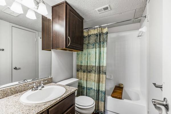 bathroom at Townlake of Coppell Apartments