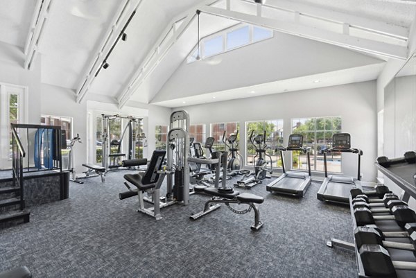 Modern fitness center with state-of-the-art equipment at Townlake of Coppell Apartments, luxury living community in Coppell