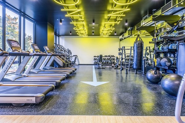 Modern fitness center with state-of-the-art equipment at Jackson Apartments