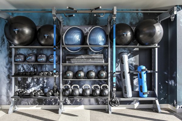 State-of-the-art fitness center at West Edge Apartments equipped with cardio machines and weights