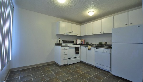 Kitchen featuring modern appliances and sleek countertops at The Woodmark Apartments