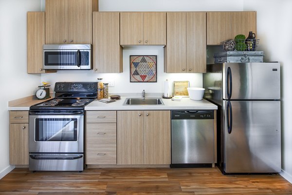 Modern kitchen with stainless steel appliances in Riverwalk Apartments, luxury living spaces by Greystar